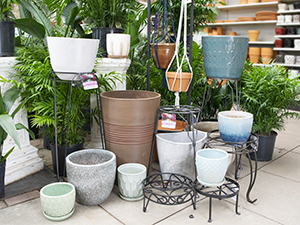 Pots, Stands & Hangers