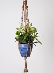 Jute available in multiple sizes