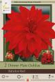 DAHLIA PKG OF 2 DINNERPLATE BABYLON RED