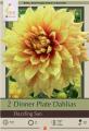 DAHLIA PKG OF 2 DINNERPLATE DAZZLING SUN