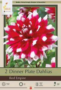 DAHLIA PKG OF 2 DINNERPLATE RED EMPIRE