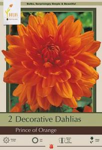 DAHLIA PKG OF 2 PRINCE OF ORANGE