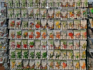 Seeds