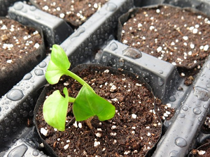 Propagation Supplies