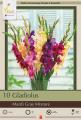 GLADIOLUS PKG OF 10 MARDI GRAS MIXTURE