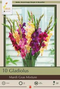 GLADIOLUS PKG OF 10 MARDI GRAS MIXTURE