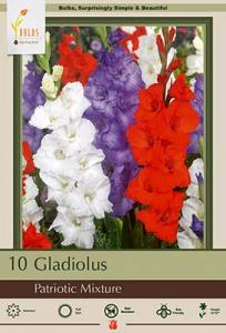 GLADIOLUS PKG OF 10 PATRIOTIC MIXTURE