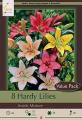LILY ASIATIC PKG OF 8 HARDY MIXTURE
