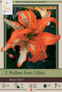Lily Pkg of 2 Asiatic  Double Must See