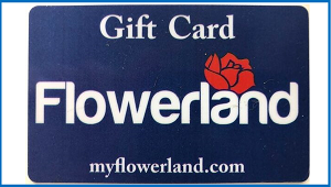 GIFT CARDS