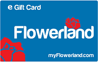 eGift Cards - emailed to recipient or yourself (can be used in-store or online)