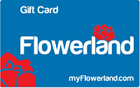 Physical Gift Card - mailed to recipient via U.S. Postal Service (can be used in-store only)