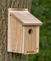 CEDAR BLUEBIRD HOUSE