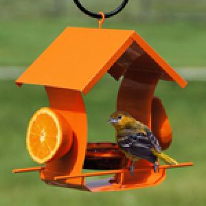 METAL HOUSE ORIOLE FEEDER