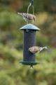 MINI MAGNUM THISTLE FEEDER