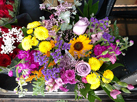 Stem's Market Fresh Flowers
