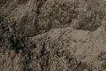 BULK TOPSOIL BLEND
