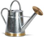 Terra Verde Galvanized Watering Can 2 Gallon Tapered