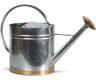 Terra Verde Galvanized Watering Can 2 Gallon Oval