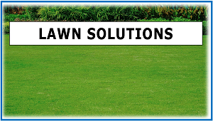 LAWN SOLUTIONS