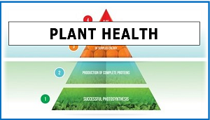 PLANT HEALTH
